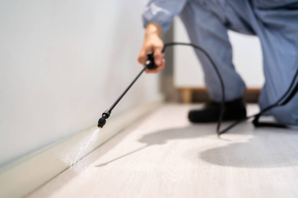 Licensed Termite Control service in Muldrow, OK - Nex Pest Control