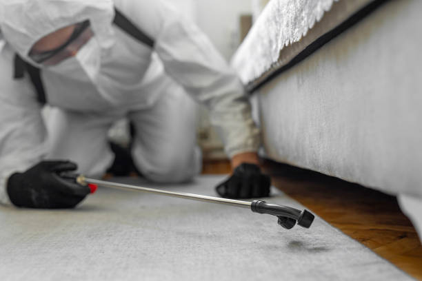 Professional Termite Control technician working in Muldrow, OK