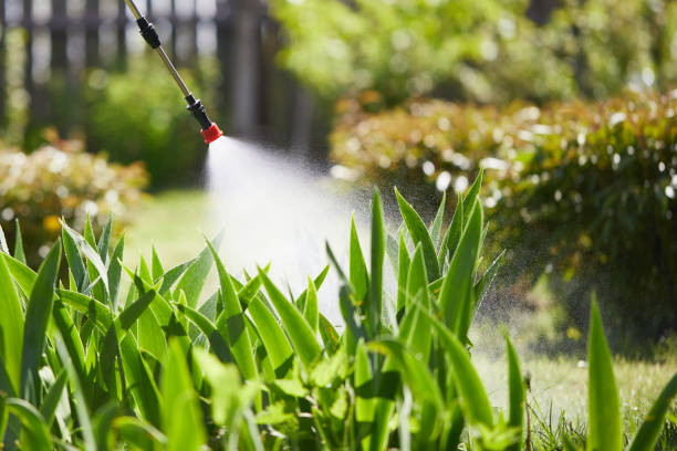 24/7 Emergency Termite Control experts in Muldrow, OK