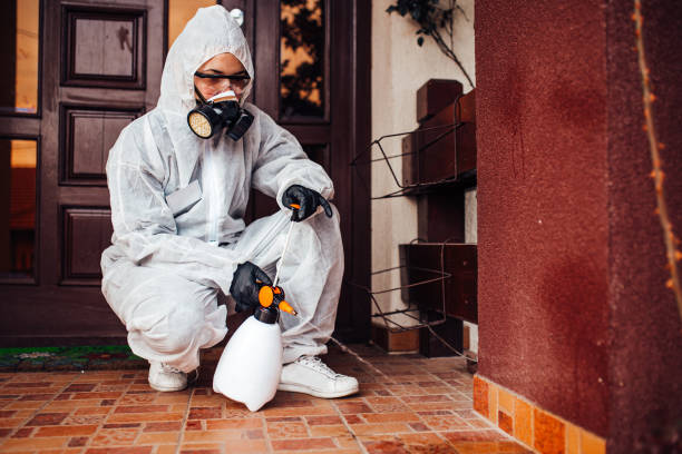 Reliable Termite Control contractor in Muldrow, OK by Nex Pest Control