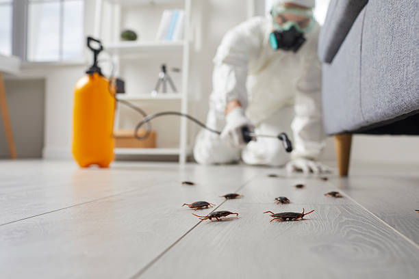Affordable Termite Control solutions in Muldrow, OK