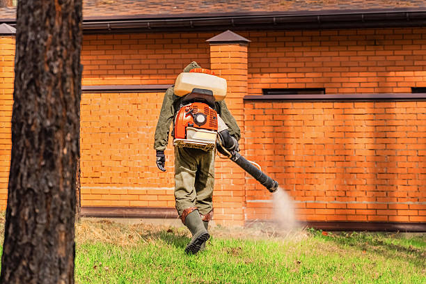 Top rated local Termite Control specialists in Muldrow, OK